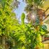 Perdikia Beach Hotel
