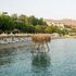 Yasmin Bodrum Resort