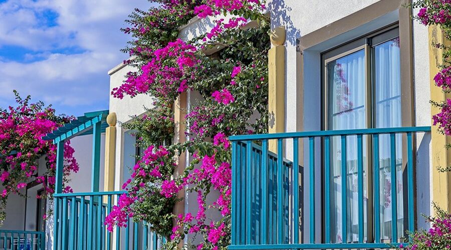 Jasmin Beach Hotel