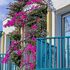 Jasmin Beach Hotel