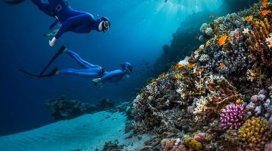 Sharm El Sheikh Turu Pegasus Havayolları ile 4 Gece 5 Gün 
