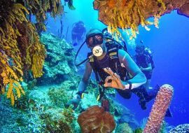 Sharm El Sheikh Turu Pegasus Havayolları ile 4 Gece 5 Gün 